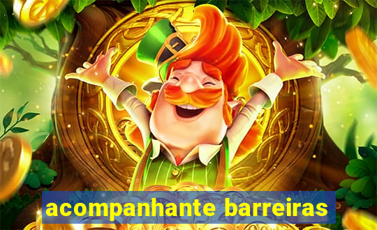 acompanhante barreiras